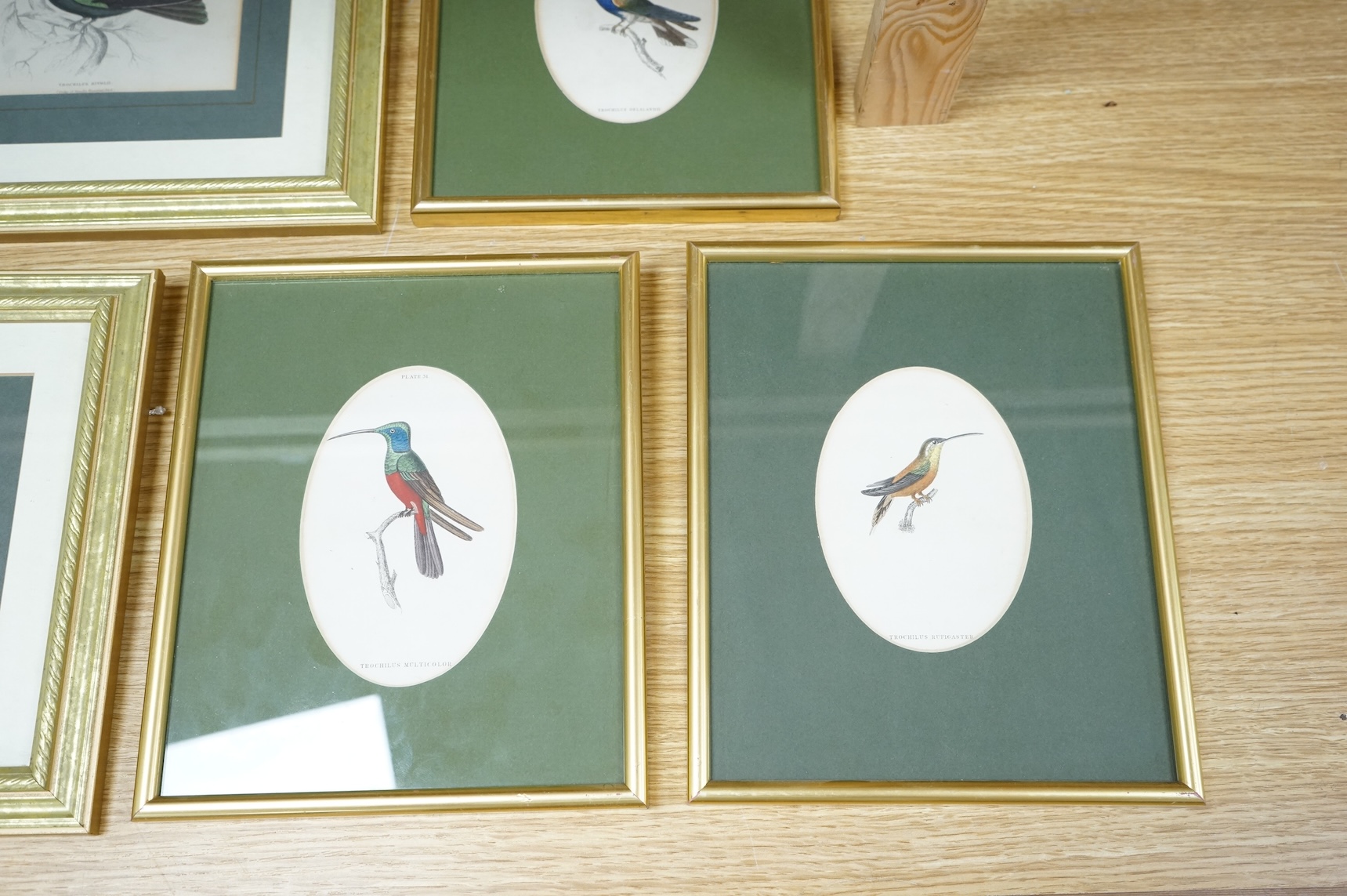 Sir William Jardine (1800-1874), ‘Jardine Hummingbirds’ to include White Striped Hummingbird and Purple Hummingbird, twelve colour plates, 9 x 14cm